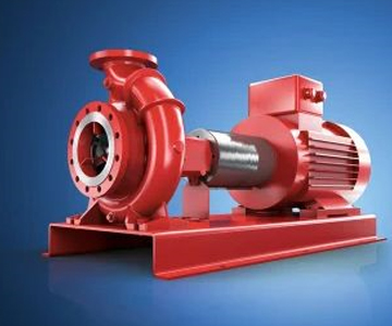 Air Cooled Rotary Pump