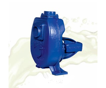 Air Cooled Rotary Pump