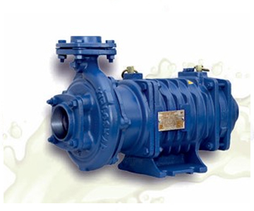 Air Cooled Rotary Pump