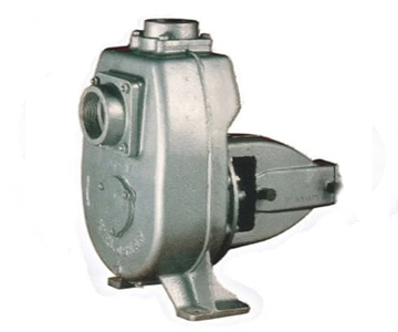 Air Cooled Rotary Pump